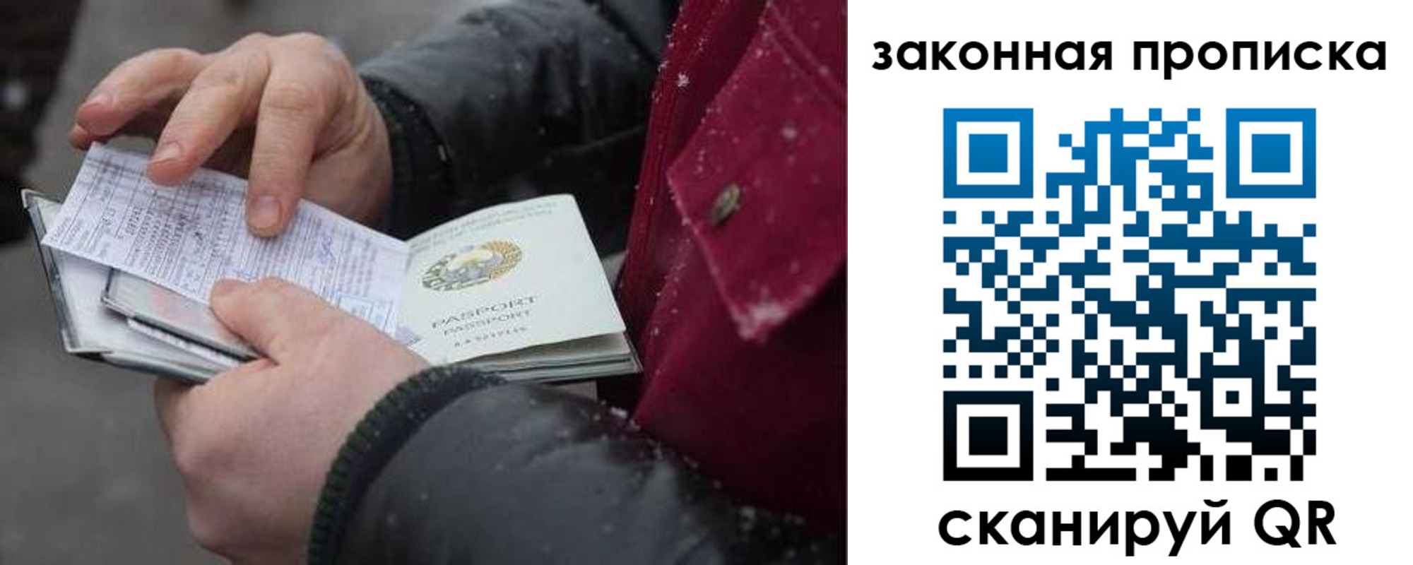 прописка поиск в Высоковске
